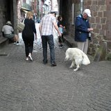 DSCN1273 (Medium)